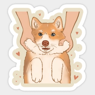 Cutie Shiba-inu Sticker